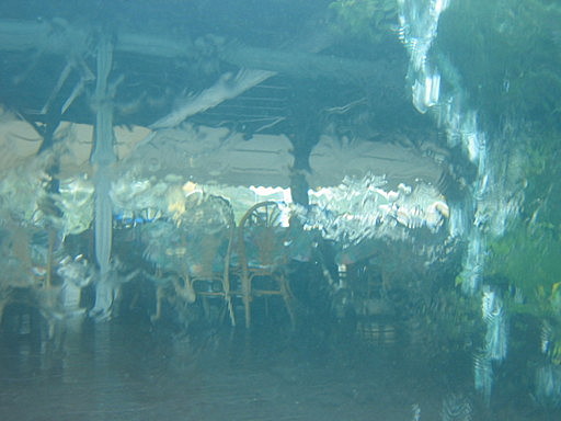 Uima-altaasta nÃ¤ki lasin lÃ¤pi ravintolaan
