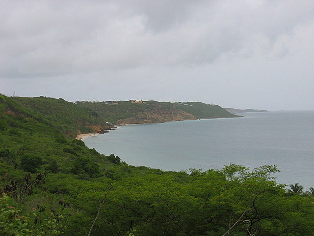 Crocus Bay