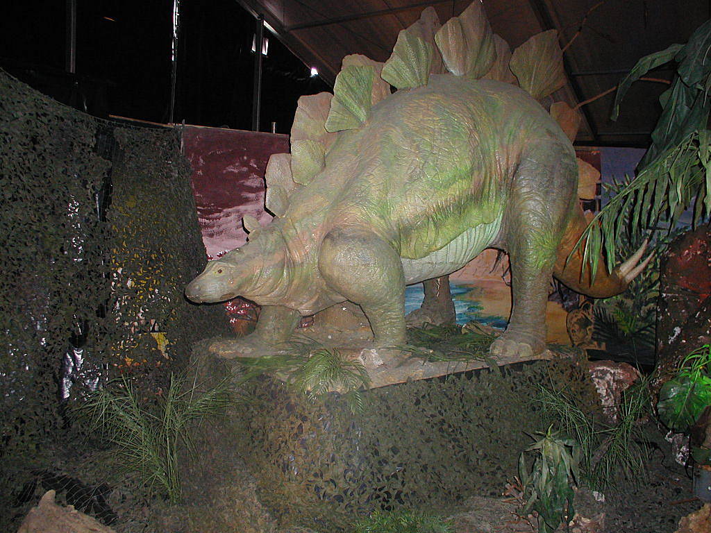 Stegosaurus. Ellen vÃ¤Ã¤rin muista.