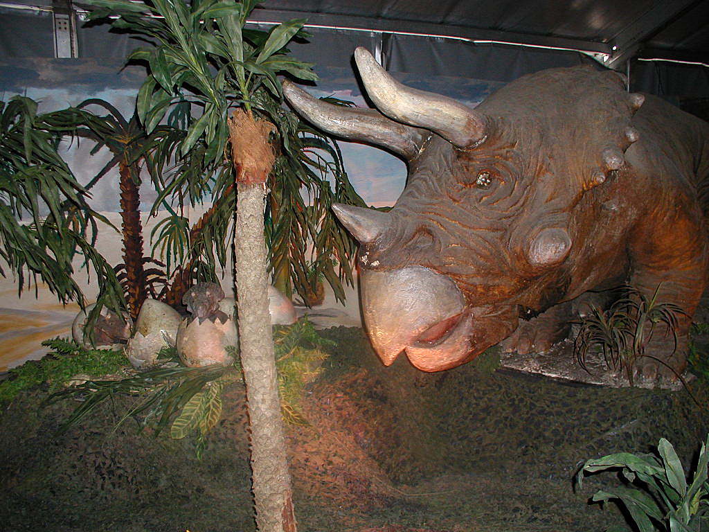Triceratops. Tai sitten ei :)