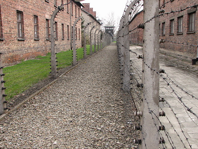 Auschwitz Concentration Camp fences