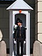 Royal Guard at the Royal Palace