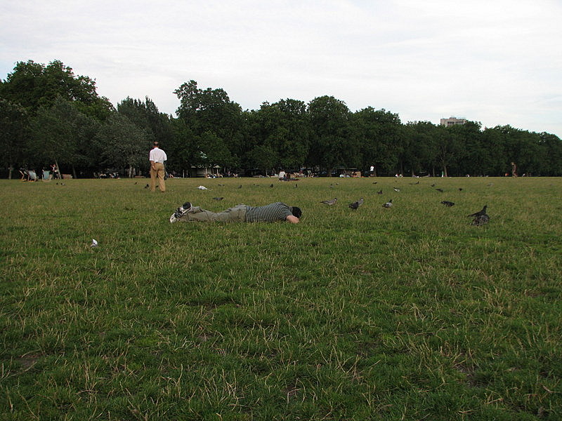 Tired man and birds at Hyde Park