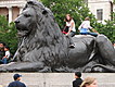 Lion at Trafalgar Square
