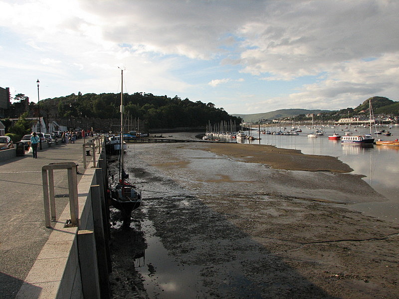 Conwy harbor, low tide