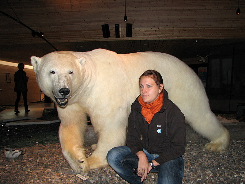 Maria and polar bear