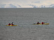 Kayaking in the arctic