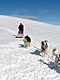 Dog sledding. A short rest for the dogs.
