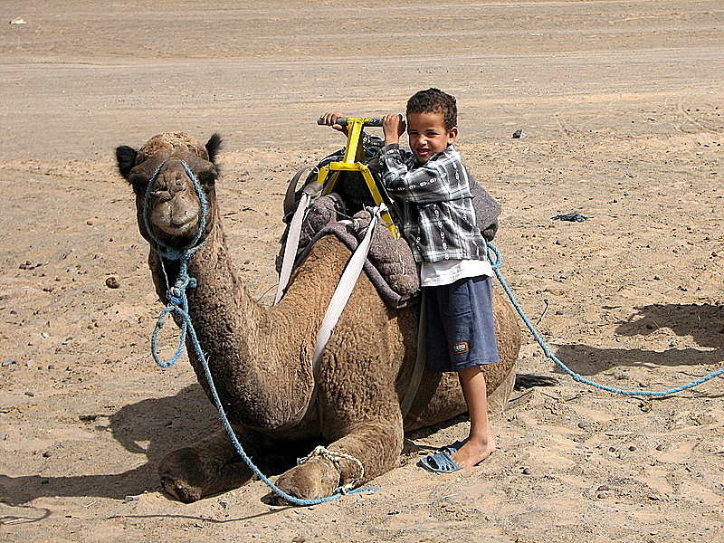 Camel and boy