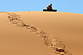 Sandboarding at Erg Chebbi dunes