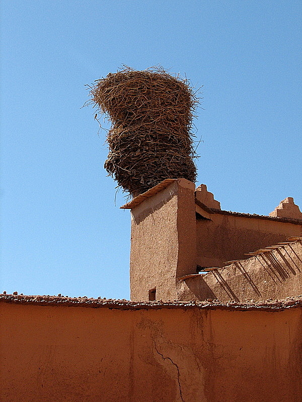 Stork nest in Taourirt Kasbah in Ouarzazate